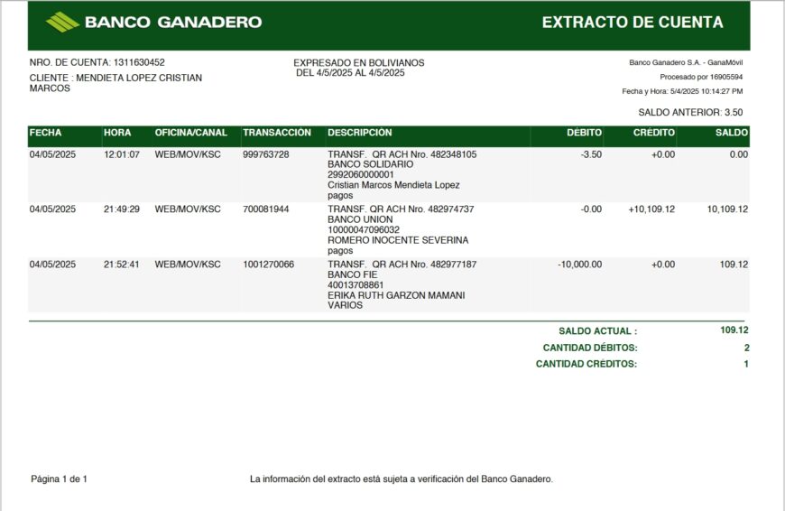 Bulgaria DSK Bank Statement Word And PDF Template