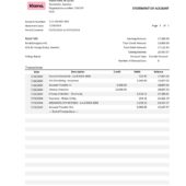 Germany Klarna Bank Account Statement Word And PDF Template