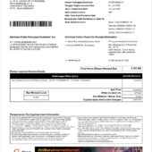 Indonesia Biznet Billing Invoice Word And PDF Template