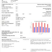 Indonesia PLN Electricity Bill Word And PDF Template