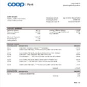 Estonia Coop Bank Account Statement Word And PDF Template