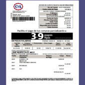 Mexico C&A Internacional Credit Card Statement Template
