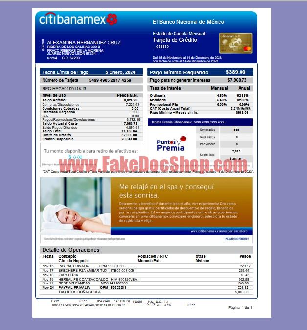Mexico Citibanamex Credit Card Statement Template
