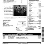 Mexico HSBC Viva Credit Card Statement Template (4 Pages)