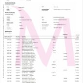 Mozambique Millennium bim Account Statement Word And PDF Template