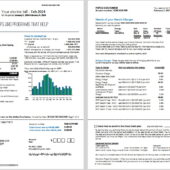 Pepco Electric Bill Template in Word And PDF Format