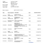 Poland Bank Pekao Bank Statement Word And PDF Template