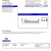 South Korea KEPCO Electricity Bill Template In Word And PDF Format