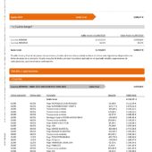 Spain ING Direct Integrated Statement Word And PDF Template (3 Pages)