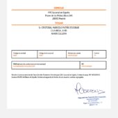 Spain Nickel Bank Account Direct Debit Receipt Word And PDF Template