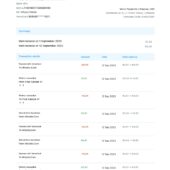 Spain Verse Payments Account Statement Word And PDF Template (4 Pages)
