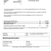 Sweden Bank Norwegian Credit Card Statement Template in word and pdf format (2 Pages)