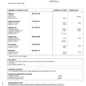 Sweden Handelsbanken Annual Statement Word And PDF Template (3 Pages)