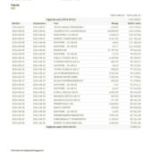 Sweden SEB Corporate Account Statement Word And PDF Template