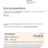 Sweden Swedbank Pay Monthly Invoice Word And PDF Template (2 Pages)