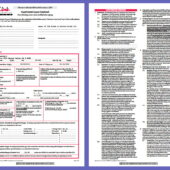 Texas Apartment Association Lease Contract Template in Word and PDF