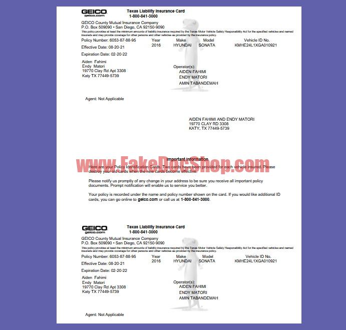 Texas GEICO Liability Insurance Card