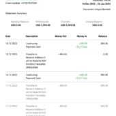 UAE Pyypl Account Statement Word and PDF Template (7 Pages)
