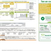 UK EDF Energy Electricity Bill Word And PDF Template (2 Pages)