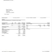 USA Adco Roofing Paystub Word And PDF Template (6 Pages)