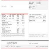 USA Allstate Pay Stub Word And PDF Template (2 Pages)