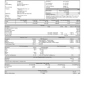 USA CVS Health PayStub Word and PDF Template