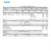 USA Ecolab Earnings Statement Word And PDF Template