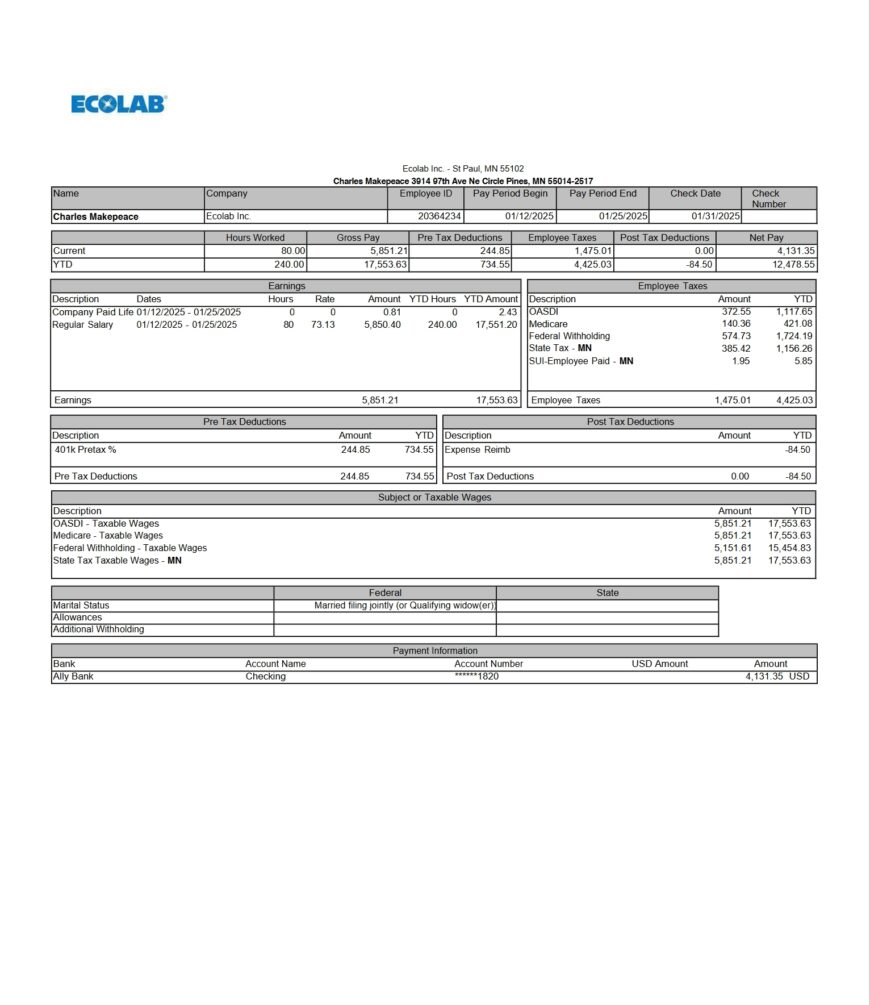 USA Ecolab Earnings Statement Word And PDF Template