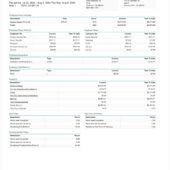 USA Gusto PayStub Word and PDF Template