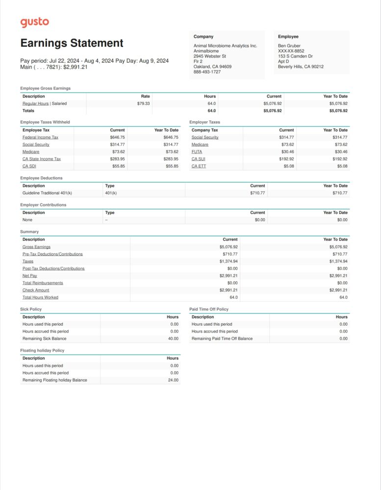 USA Gusto PayStub Word and PDF Template