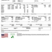 USA Miami-Dade County Paystub Word And PDF Template