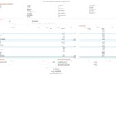 USA Microsoft Corporation Employee PayStub Word and PDF Template (6 Pages)