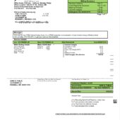USA New Mexico Central Valley Electric Bill Word And PDF Template