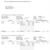 USA SAM NYC EXPRESS INC Paystub Word And PDF Template