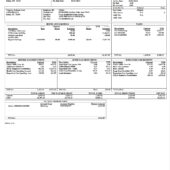 USA Texas Health Physicians Group Paystub Word And PDF Template