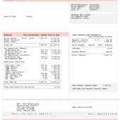 USA Thermo Fisher Scientific Earnings Statement Word And PDF Template (2 Pages)