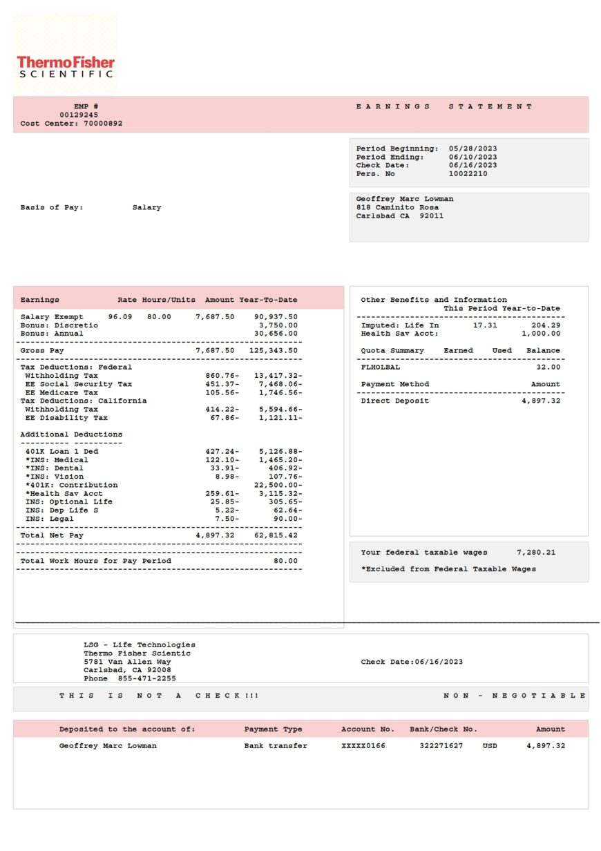 USA Thermo Fisher Scientific Earnings Statement Word And PDF Template 2 Pages