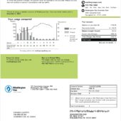 USA Washington Gas Utility Bill Word And PDF Template (2 Pages)