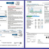 United States APS Utility Bill Template in Word and PDF Format