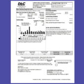 United States Duquesne Light Company Utility Bill Template in Word and PDF Format