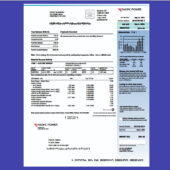 United States Pacific Power Utility Bill Template in Word and PDF Format