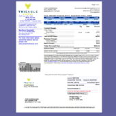 United States TriEagle Energy Utility Bill Template in Word and PDF Format