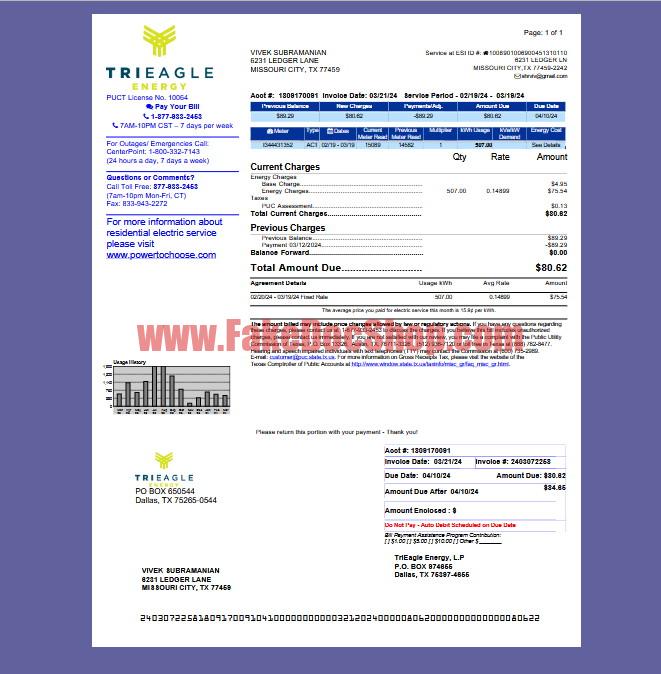 United States TriEagle Energy Utility Bill Template in Word and PDF Format