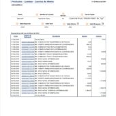 Venezuela Banco Mercantil Account Statement Word And PDF Template