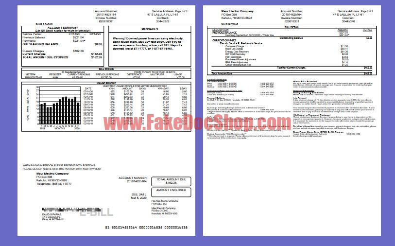 us Electric Company Utility Bill Template in Word and PDF Format