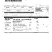 Ecuador Banco Guayaquil Credit Card Statement Word And PDF Template (2 Pages)