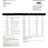 France AUTODOC Invoice Word And PDF Template (2 Pages)