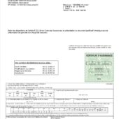 France International Motor Insurance Green Card Word And PDF Template