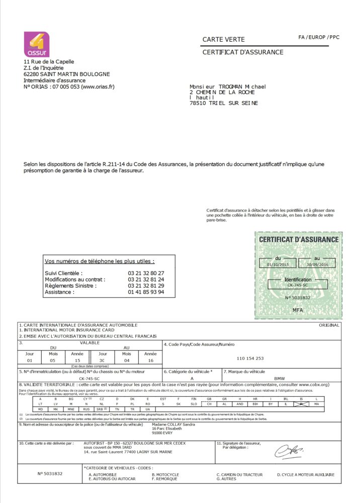 France International Motor Insurance Green Card Word And PDF Template 1