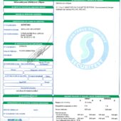 France Securitest Technical Control Report Word And PDF Template